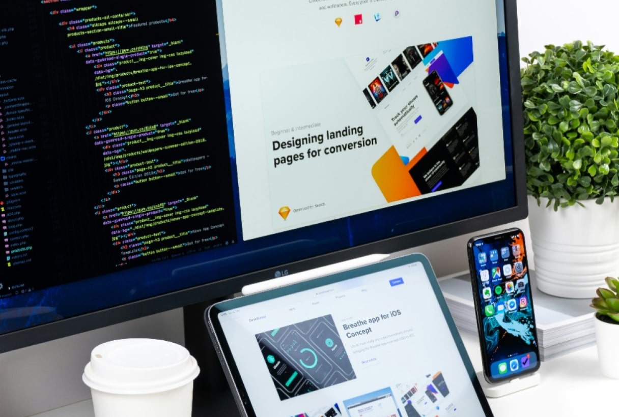 Web Design and Development